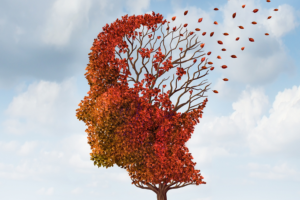 ICQ Level 2 Award in Awareness of Dementia (RQF)