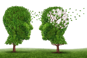 ICQ Level 2 Certificate in the Principles of Dementia Care (RQF)