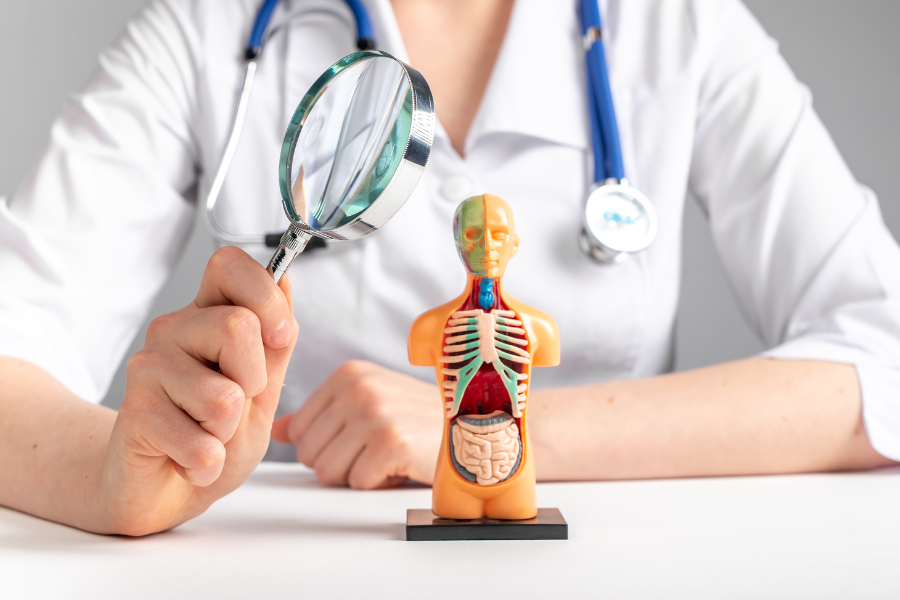 Personal and Pressure Care Training